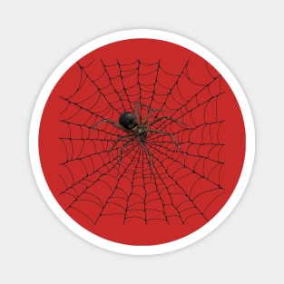 3D Spider Magnet